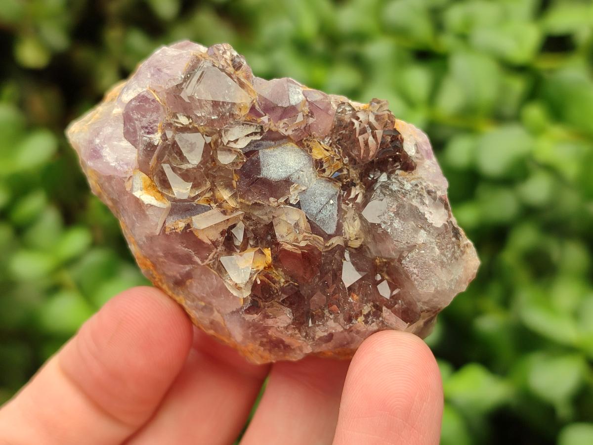 Natural Rare Asylum Quartz Clusters x 12 From Luena, Congo