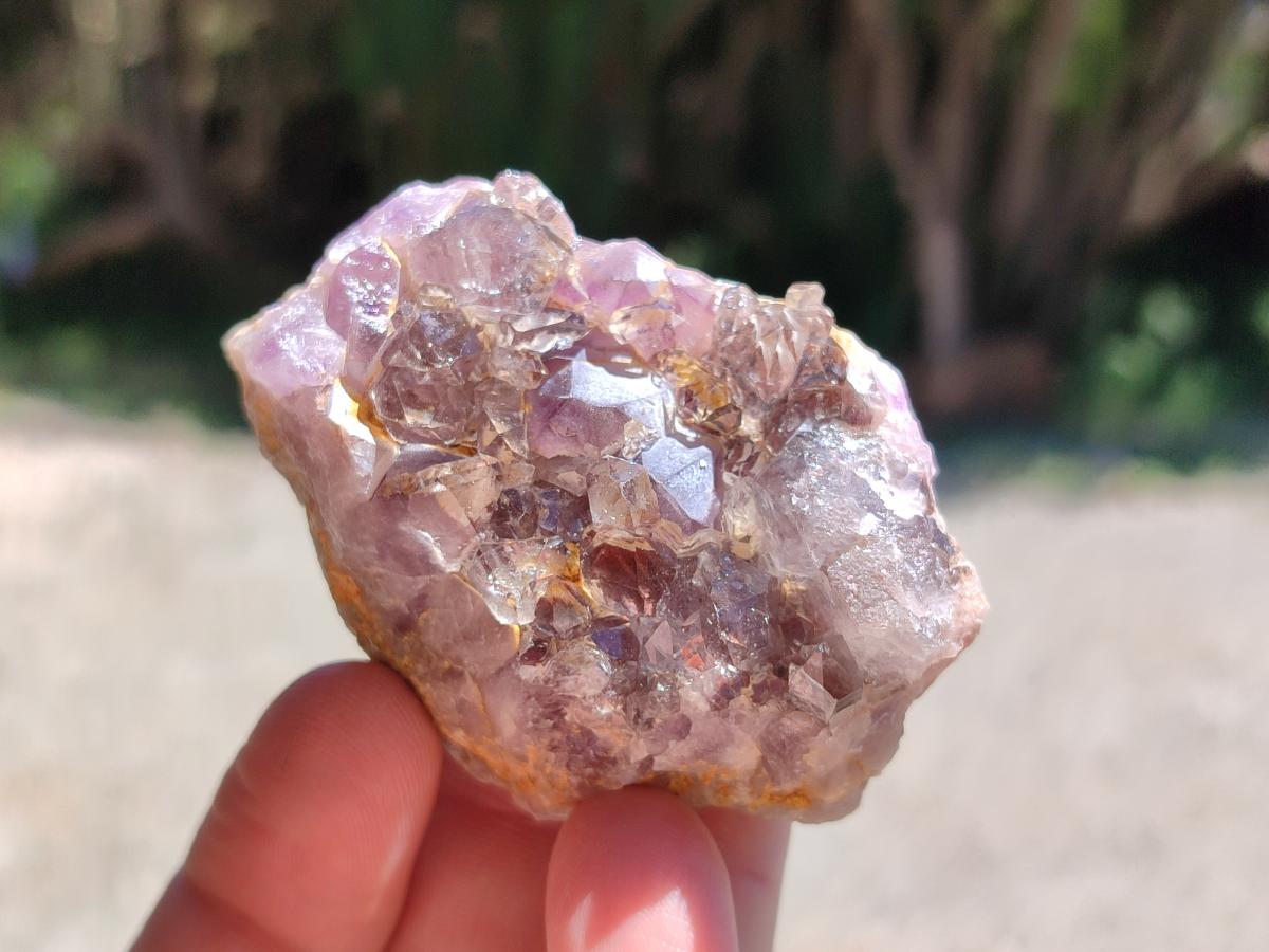 Natural Rare Asylum Quartz Clusters x 12 From Luena, Congo