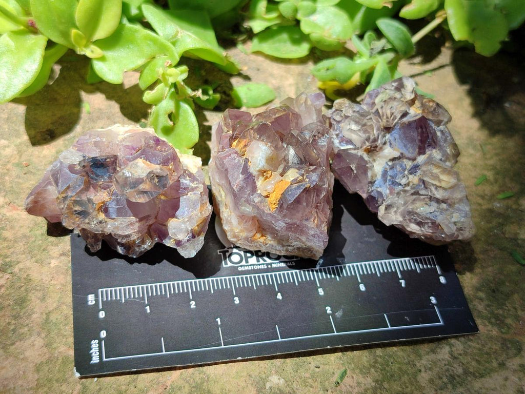 Natural Rare Asylum Quartz Clusters x 12 From Luena, Congo