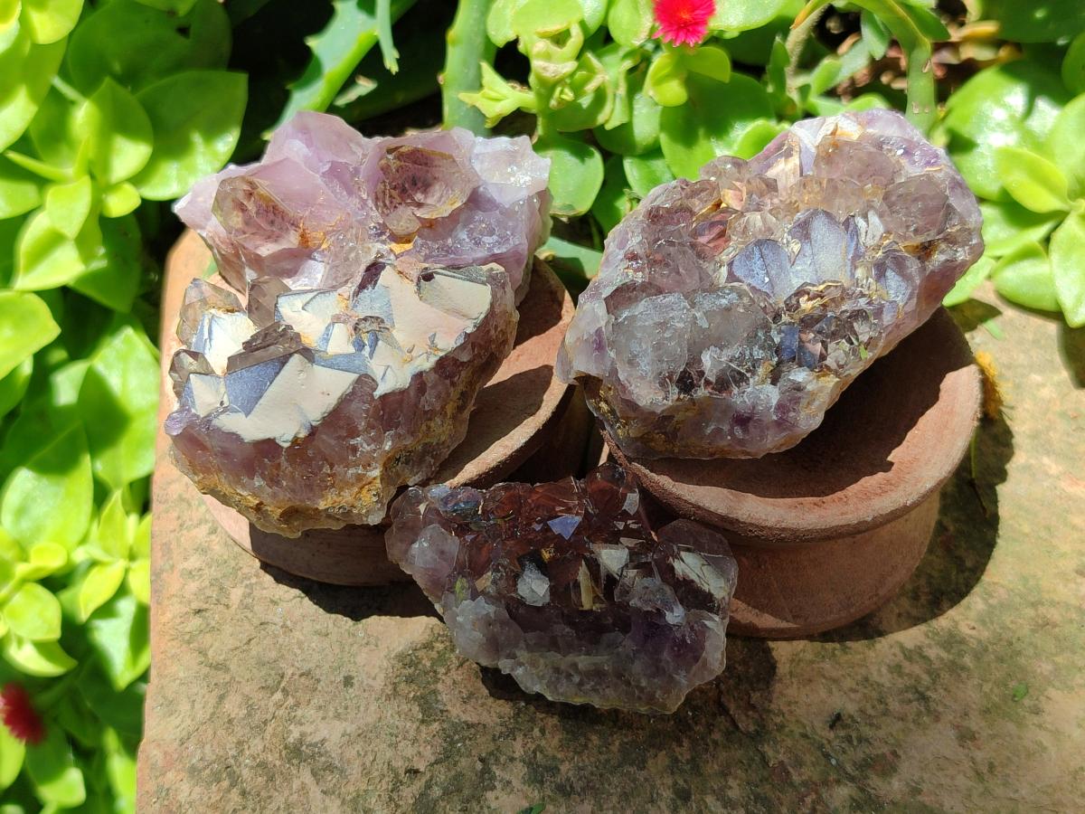 Natural Rare Asylum Quartz Clusters x 12 From Luena, Congo