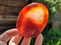 Polished Carnelian Agate Gemstone Bowls x 6 From Madagascar