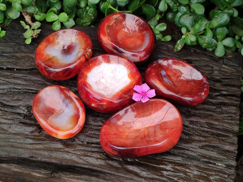 Polished Carnelian Agate Gemstone Bowls x 6 From Madagascar