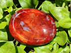 Polished Carnelian Agate Gemstone Bowls x 6 From Madagascar