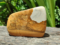 Polished Picture Stone Jasper Standing Free Forms x 2 From Ais-Ais, Namibia