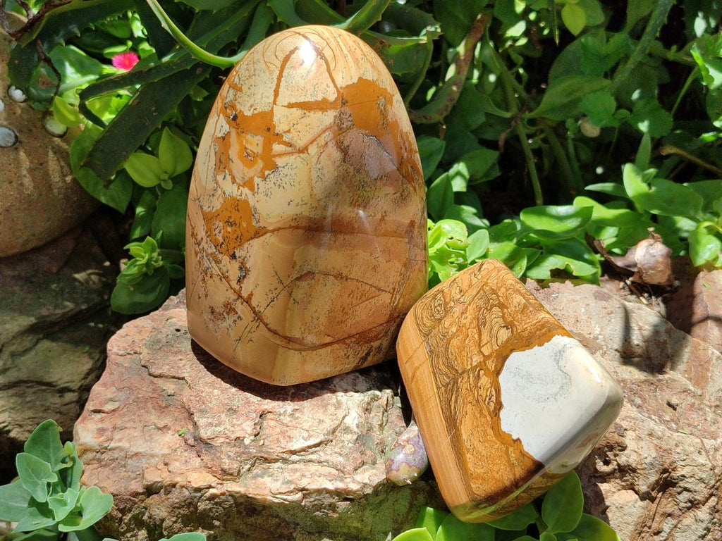 Polished Picture Stone Jasper Standing Free Forms x 2 From Ais-Ais, Namibia