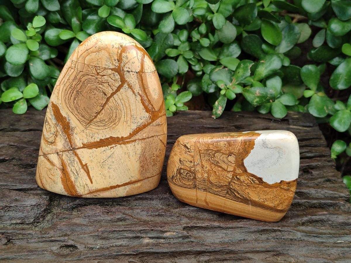 Polished Picture Stone Jasper Standing Free Forms x 2 From Ais-Ais, Namibia