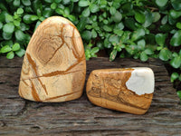 Polished Picture Stone Jasper Standing Free Forms x 2 From Ais-Ais, Namibia