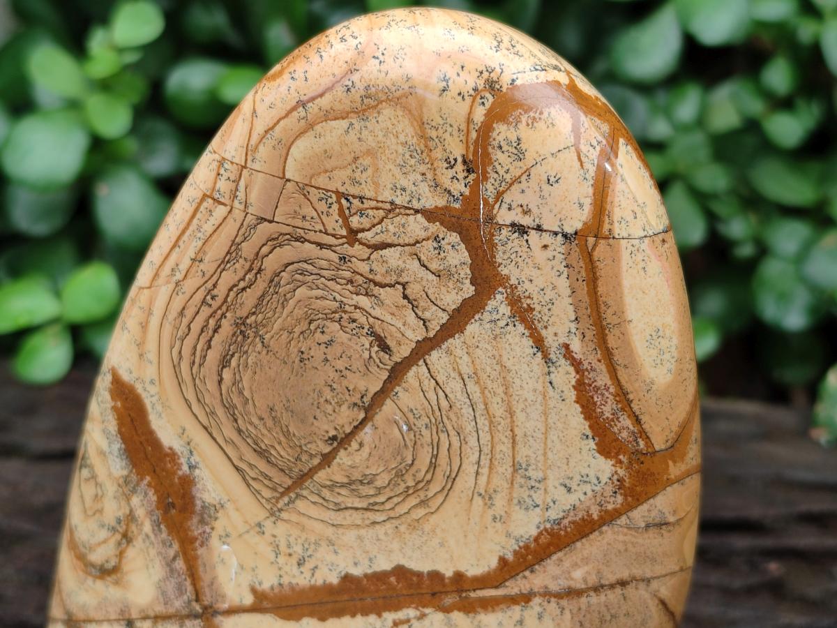 Polished Picture Stone Jasper Standing Free Forms x 2 From Ais-Ais, Namibia