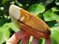 Polished Picture Stone Jasper Standing Free Forms x 2 From Ais-Ais, Namibia