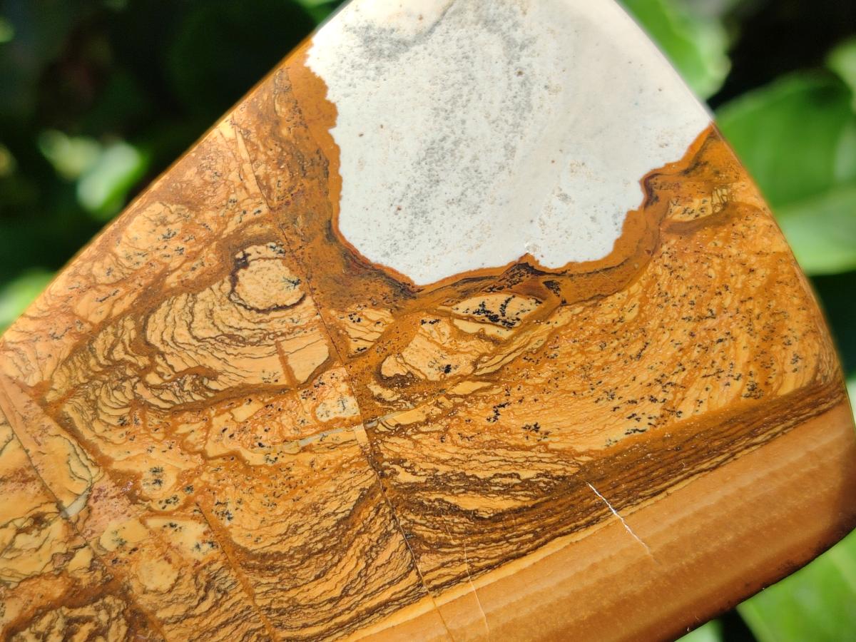 Polished Picture Stone Jasper Standing Free Forms x 2 From Ais-Ais, Namibia