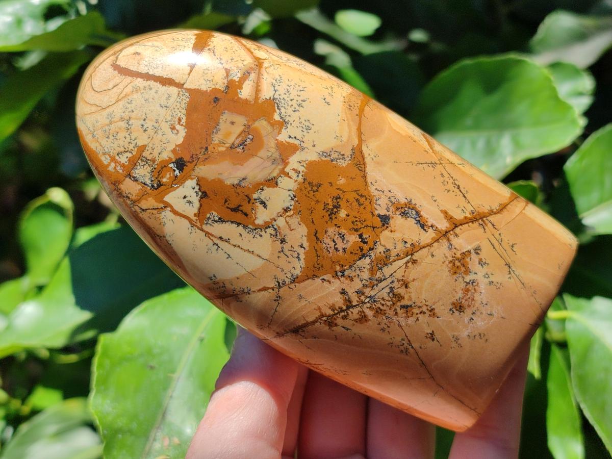 Polished Picture Stone Jasper Standing Free Forms x 2 From Ais-Ais, Namibia