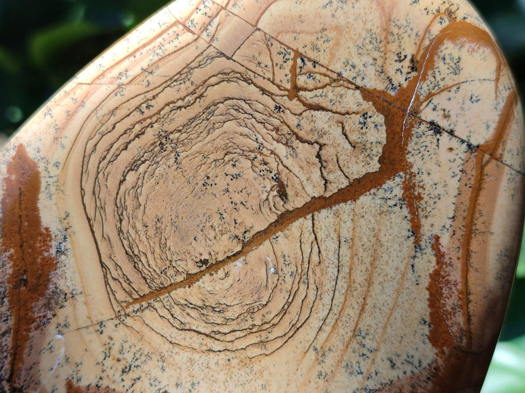 Polished Picture Stone Jasper Standing Free Forms x 2 From Ais-Ais, Namibia