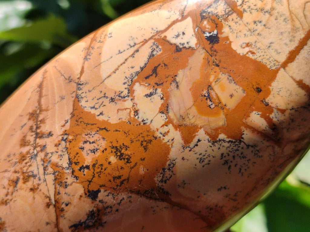 Polished Picture Stone Jasper Standing Free Forms x 2 From Ais-Ais, Namibia