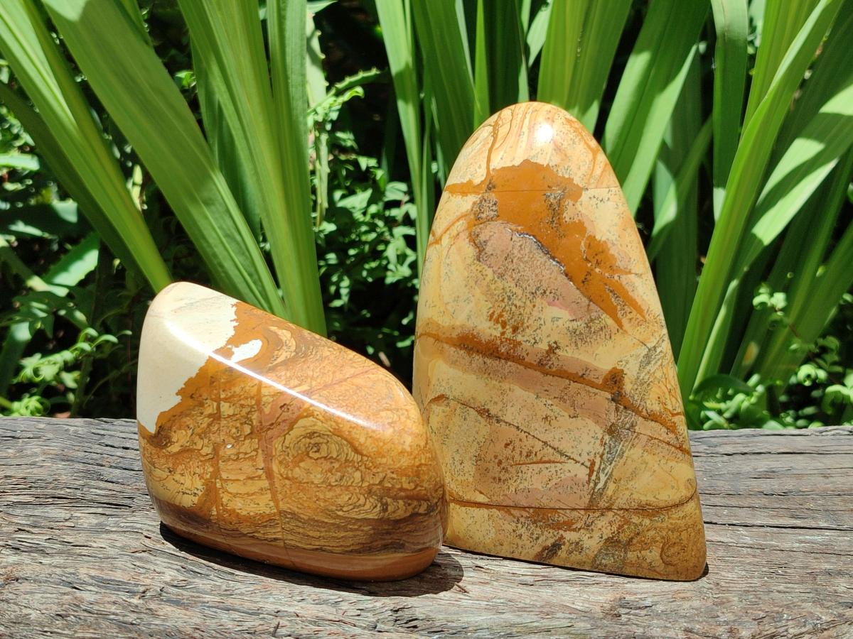 Polished Picture Stone Jasper Standing Free Forms x 2 From Ais-Ais, Namibia