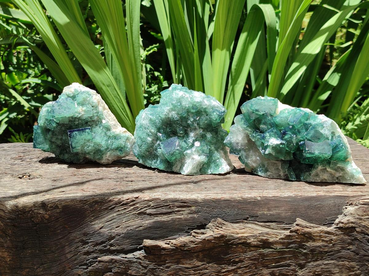 Natural Cubic Green Fluorite Cluster Specimen x 4 From Mandrosonoro, Madagascar