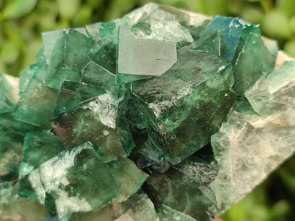 Natural Cubic Green Fluorite Cluster Specimen x 4 From Mandrosonoro, Madagascar