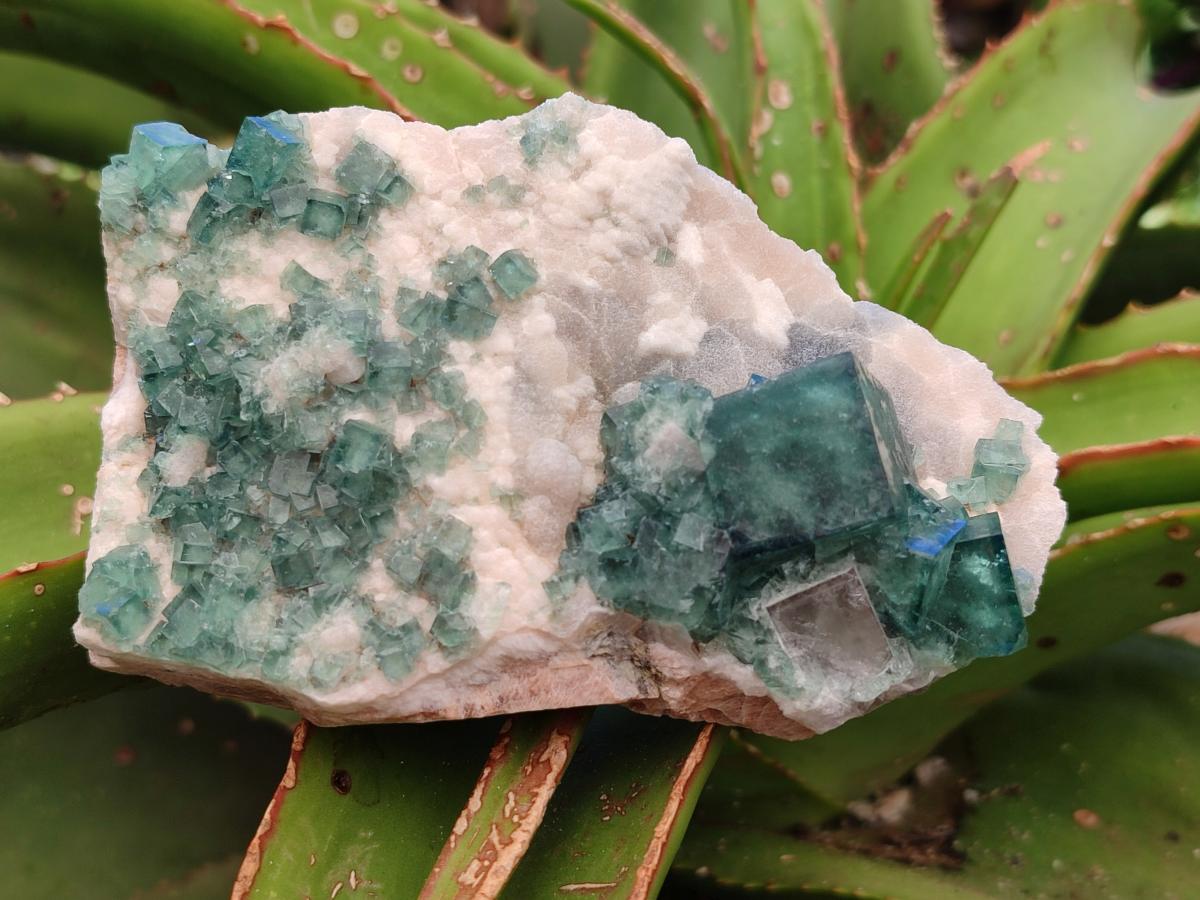 Natural Cubic Green Fluorite Cluster Specimen x 4 From Mandrosonoro, Madagascar