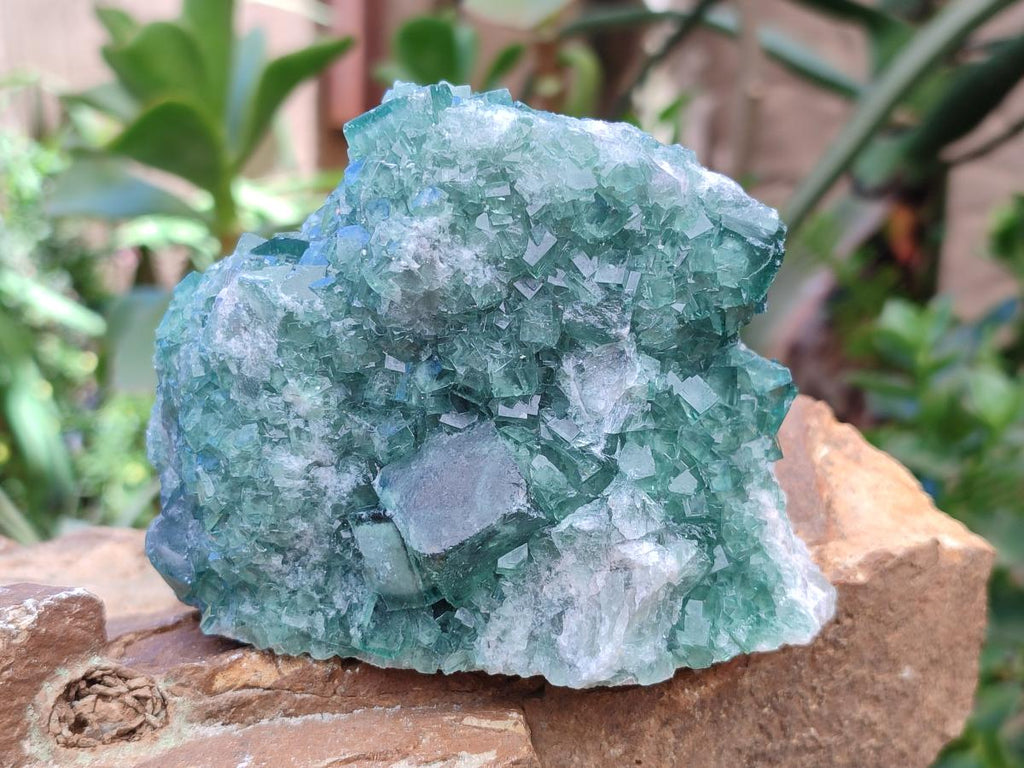 Natural Cubic Green Fluorite Cluster Specimen x 4 From Mandrosonoro, Madagascar