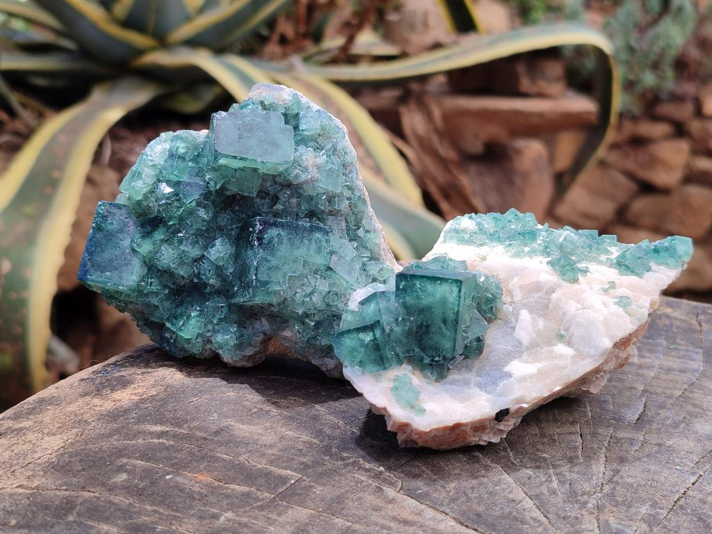 Natural Cubic Green Fluorite Cluster Specimen x 4 From Mandrosonoro, Madagascar