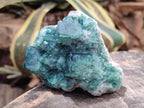 Natural Cubic Green Fluorite Cluster Specimen x 4 From Mandrosonoro, Madagascar