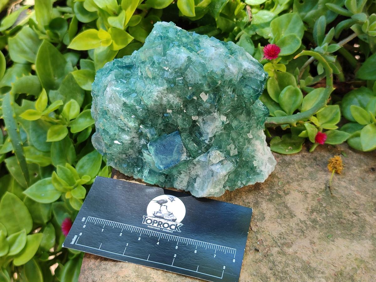 Natural Cubic Green Fluorite Cluster Specimen x 4 From Mandrosonoro, Madagascar