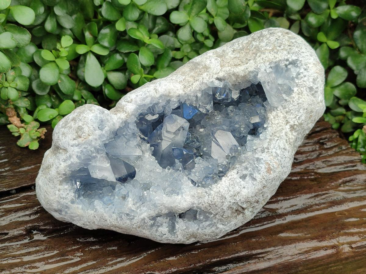 Natural Blue Celestite Geode Specimen x 1 From Sakoany, Madagascar