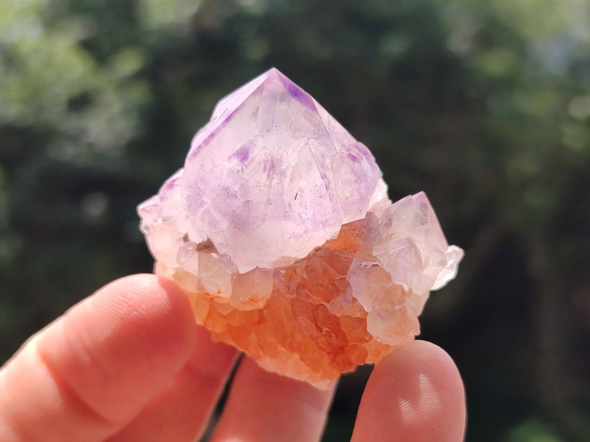 Natural Sunburst Amethyst Spirit Crystals x 50 From Boekenhouthoek, South Africa