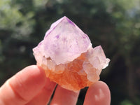 Natural Sunburst Amethyst Spirit Crystals x 50 From Boekenhouthoek, South Africa