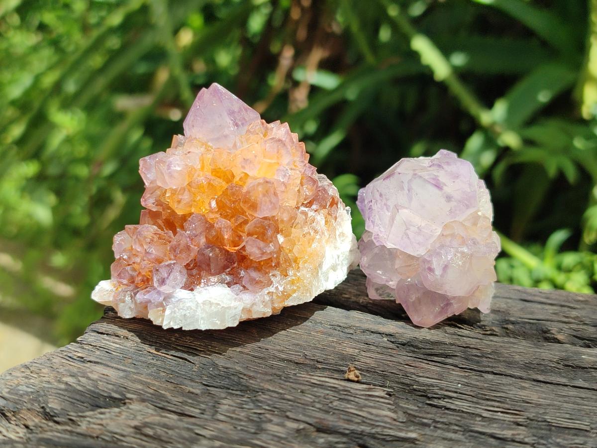 Natural Sunburst Amethyst Spirit Crystals x 50 From Boekenhouthoek, South Africa