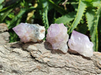 Natural Sunburst Amethyst Spirit Crystals x 50 From Boekenhouthoek, South Africa