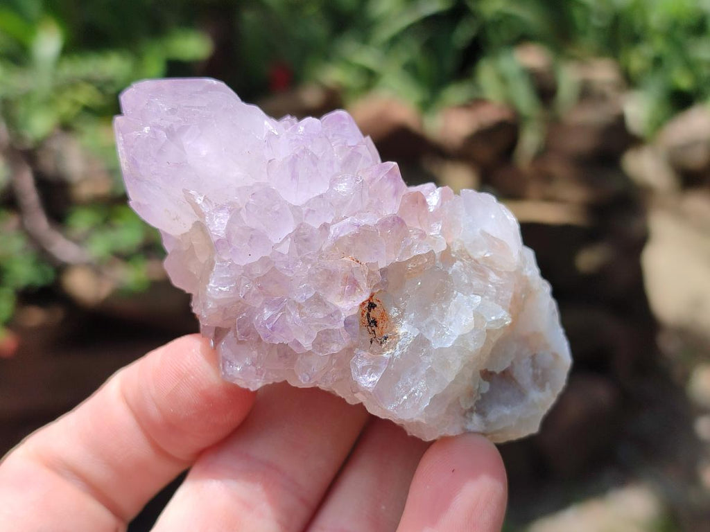 Natural Sunburst Amethyst Spirit Crystals x 50 From Boekenhouthoek, South Africa