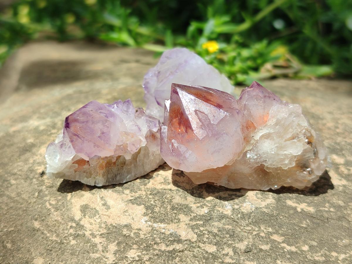 Natural Sunburst Amethyst Spirit Crystals x 50 From Boekenhouthoek, South Africa