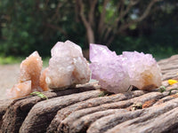 Natural Sunburst Amethyst Spirit Crystals x 50 From Boekenhouthoek, South Africa