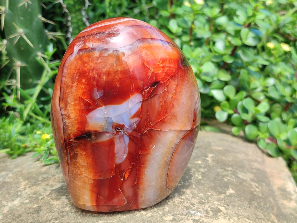 Polished Carnelian Agate Gemstone Standing Free Form x 1 From Madagascar