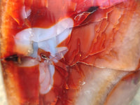 Polished Carnelian Agate Gemstone Standing Free Form x 1 From Madagascar