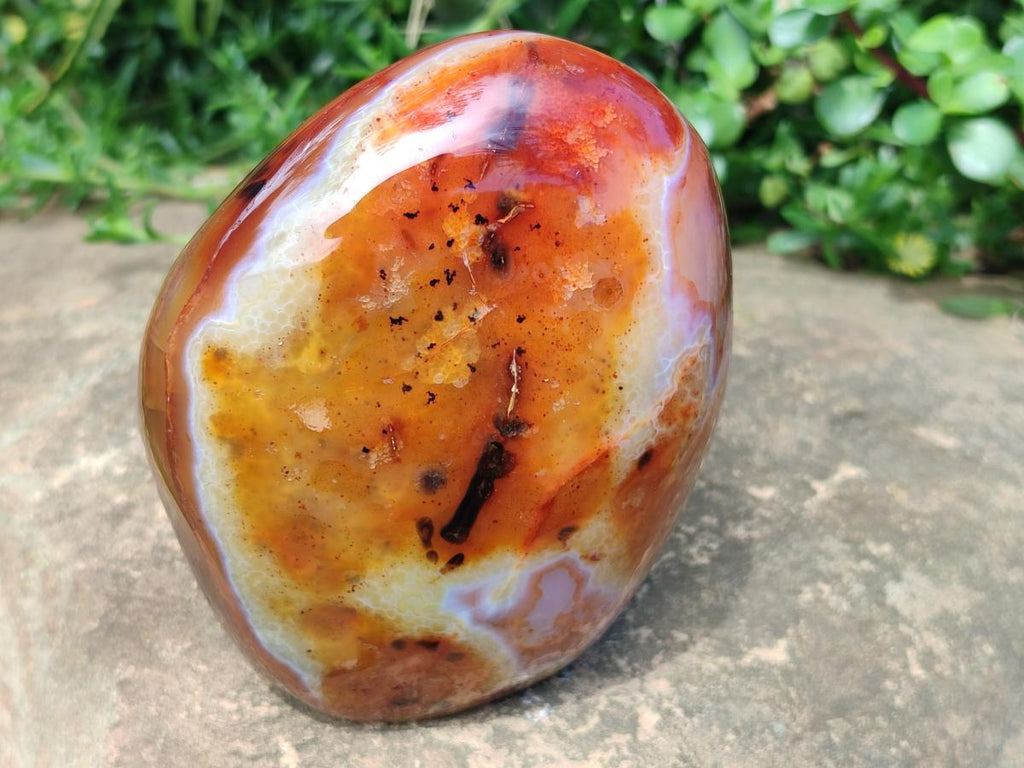 Polished Carnelian Agate Gemstone Standing Free Form x 1 From Madagascar