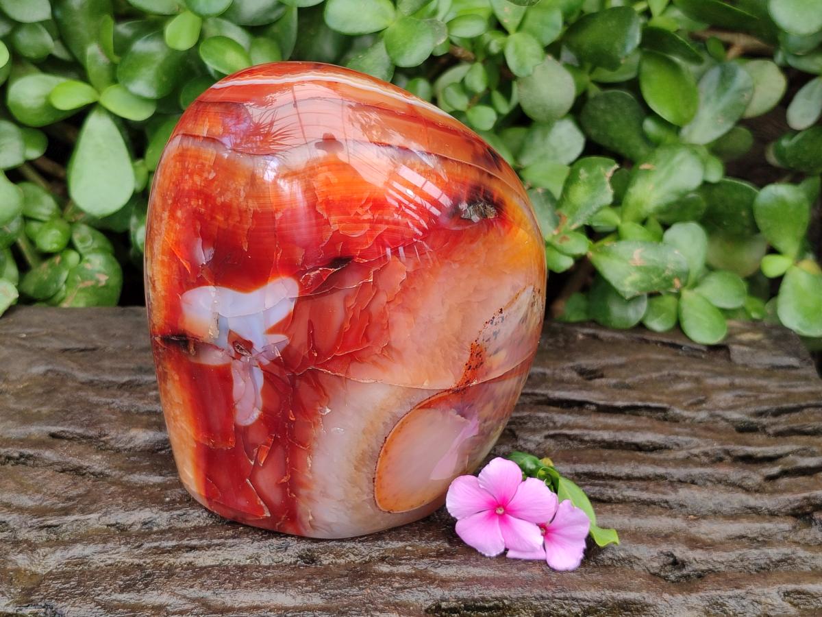 Polished Carnelian Agate Gemstone Standing Free Form x 1 From Madagascar