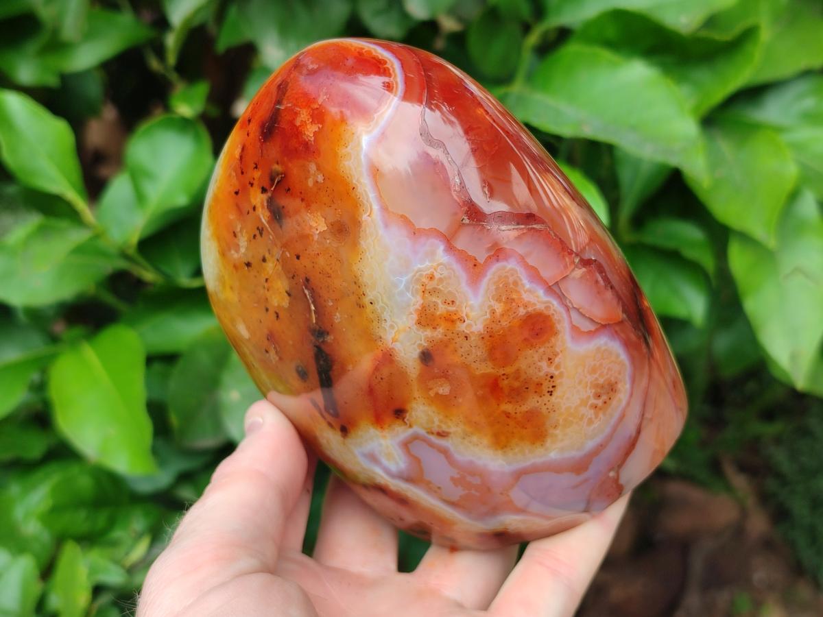 Polished Carnelian Agate Gemstone Standing Free Form x 1 From Madagascar