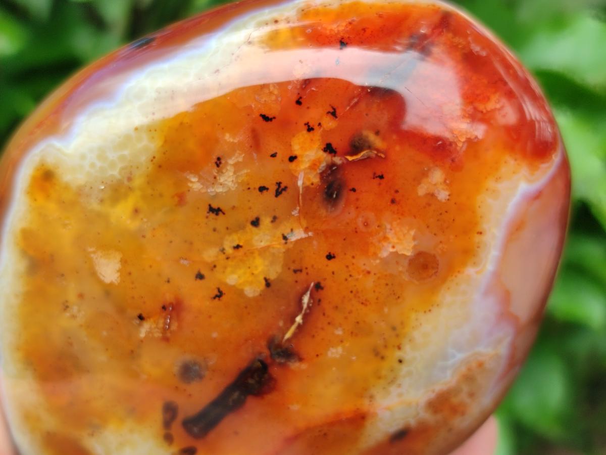 Polished Carnelian Agate Gemstone Standing Free Form x 1 From Madagascar