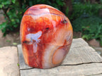 Polished Carnelian Agate Gemstone Standing Free Form x 1 From Madagascar