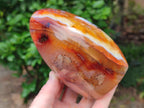 Polished Carnelian Agate Gemstone Standing Free Form x 1 From Madagascar