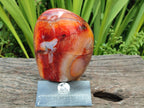 Polished Carnelian Agate Gemstone Standing Free Form x 1 From Madagascar