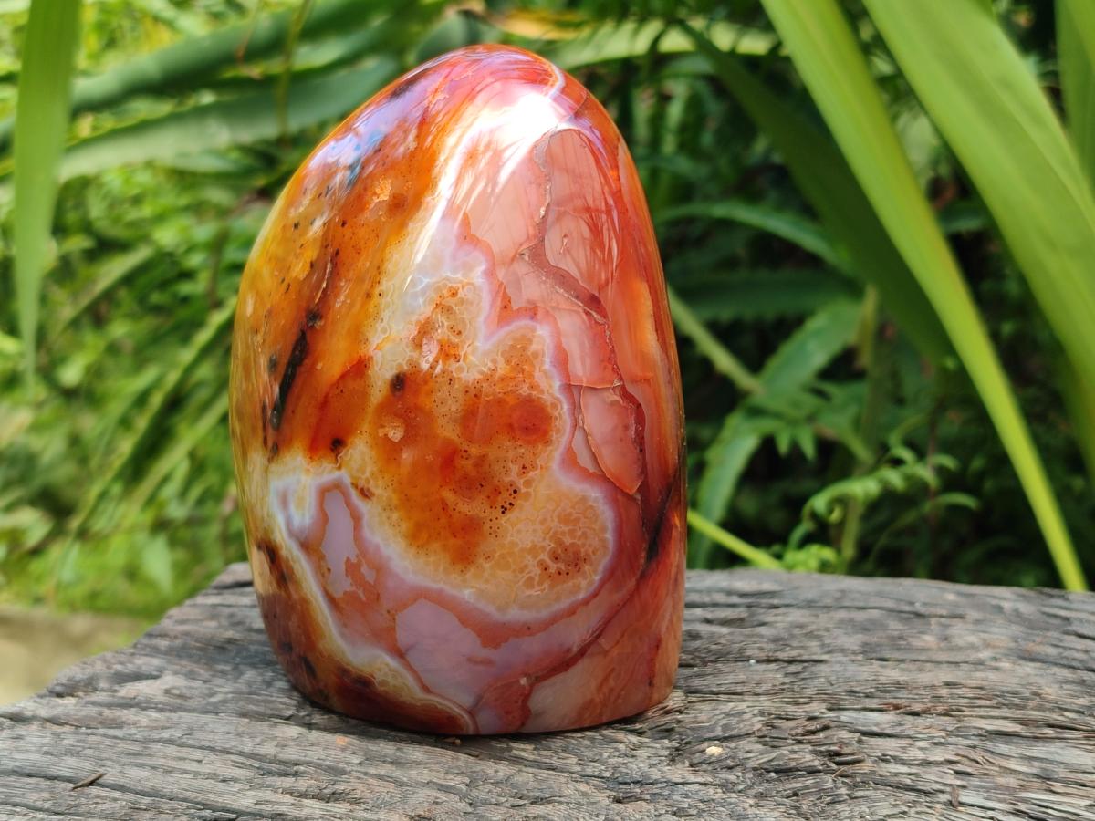 Polished Carnelian Agate Gemstone Standing Free Form x 1 From Madagascar