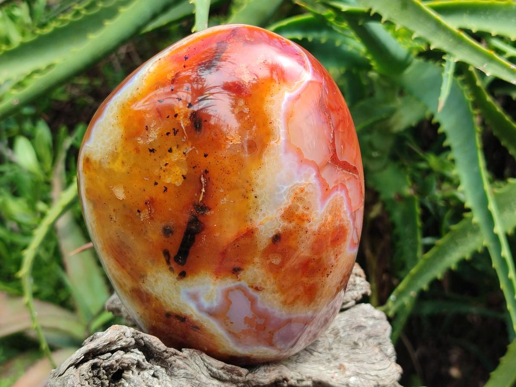 Polished Carnelian Agate Gemstone Standing Free Form x 1 From Madagascar