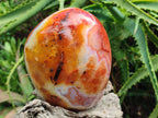 Polished Carnelian Agate Gemstone Standing Free Form x 1 From Madagascar