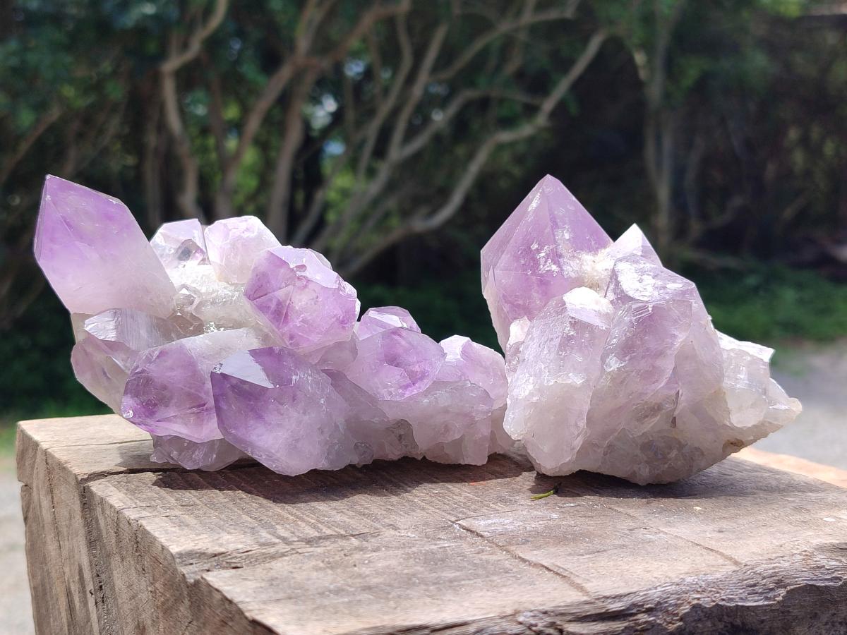 Natural Jacaranda Amethyst Crystal Clusters x 3 From Mumbwa, Zambia