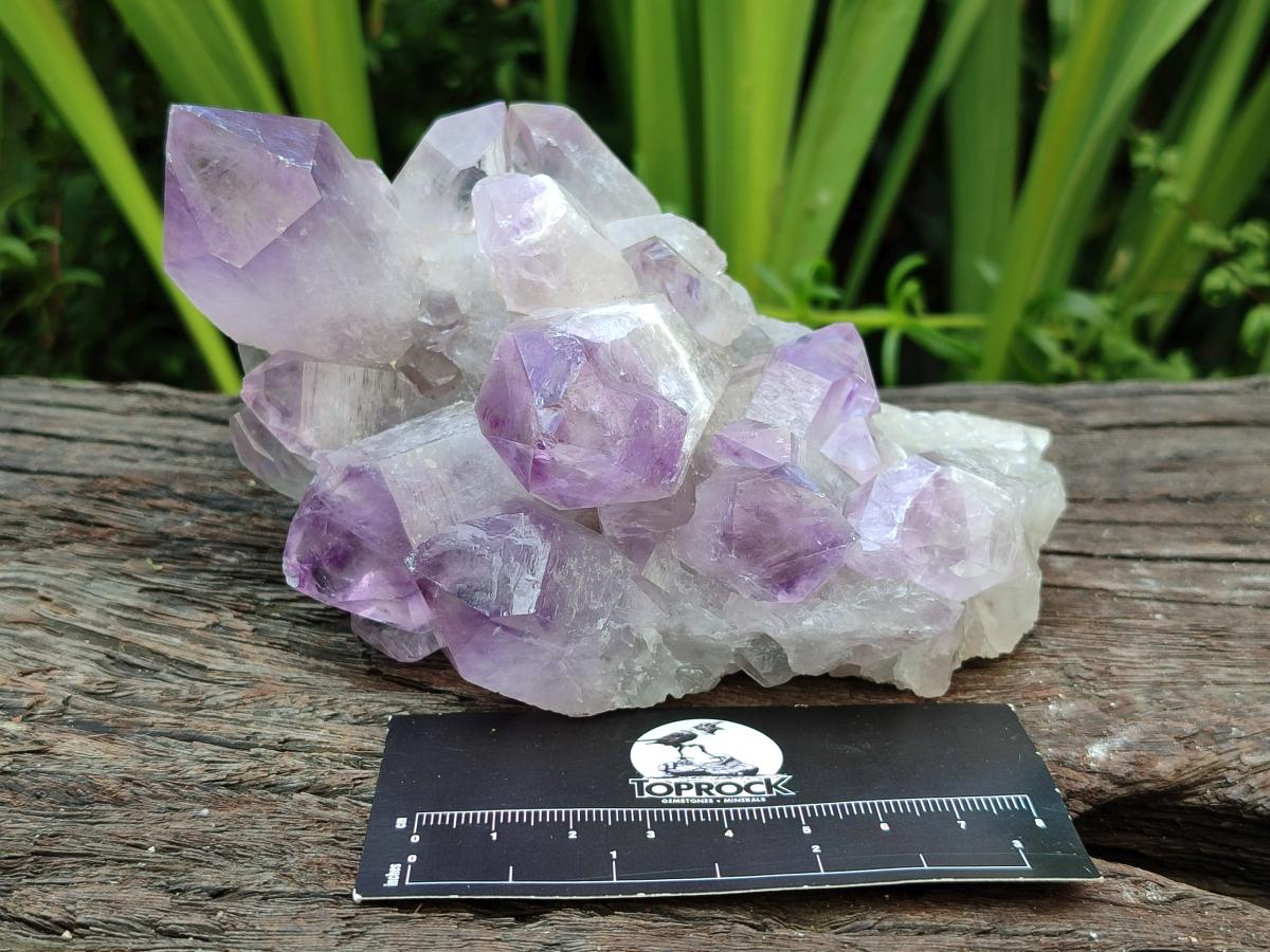 Natural Jacaranda Amethyst Crystal Clusters x 3 From Mumbwa, Zambia