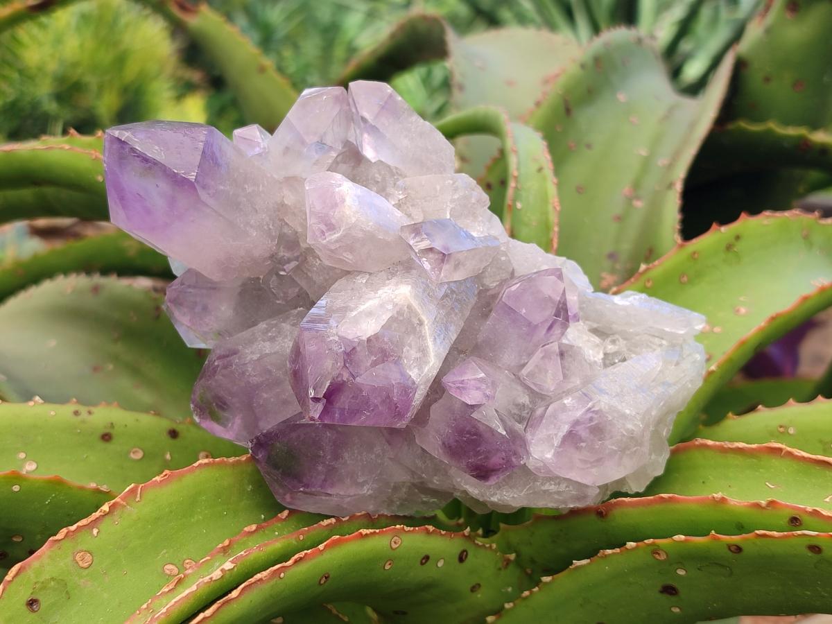 Natural Jacaranda Amethyst Crystal Clusters x 3 From Mumbwa, Zambia