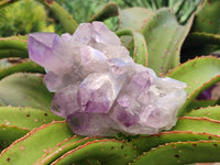 Natural Jacaranda Amethyst Crystal Clusters x 3 From Mumbwa, Zambia