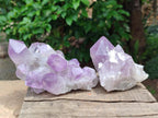 Natural Jacaranda Amethyst Crystal Clusters x 3 From Mumbwa, Zambia